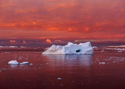  Antarctica, 2016